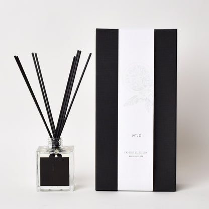 Scented Diffuser